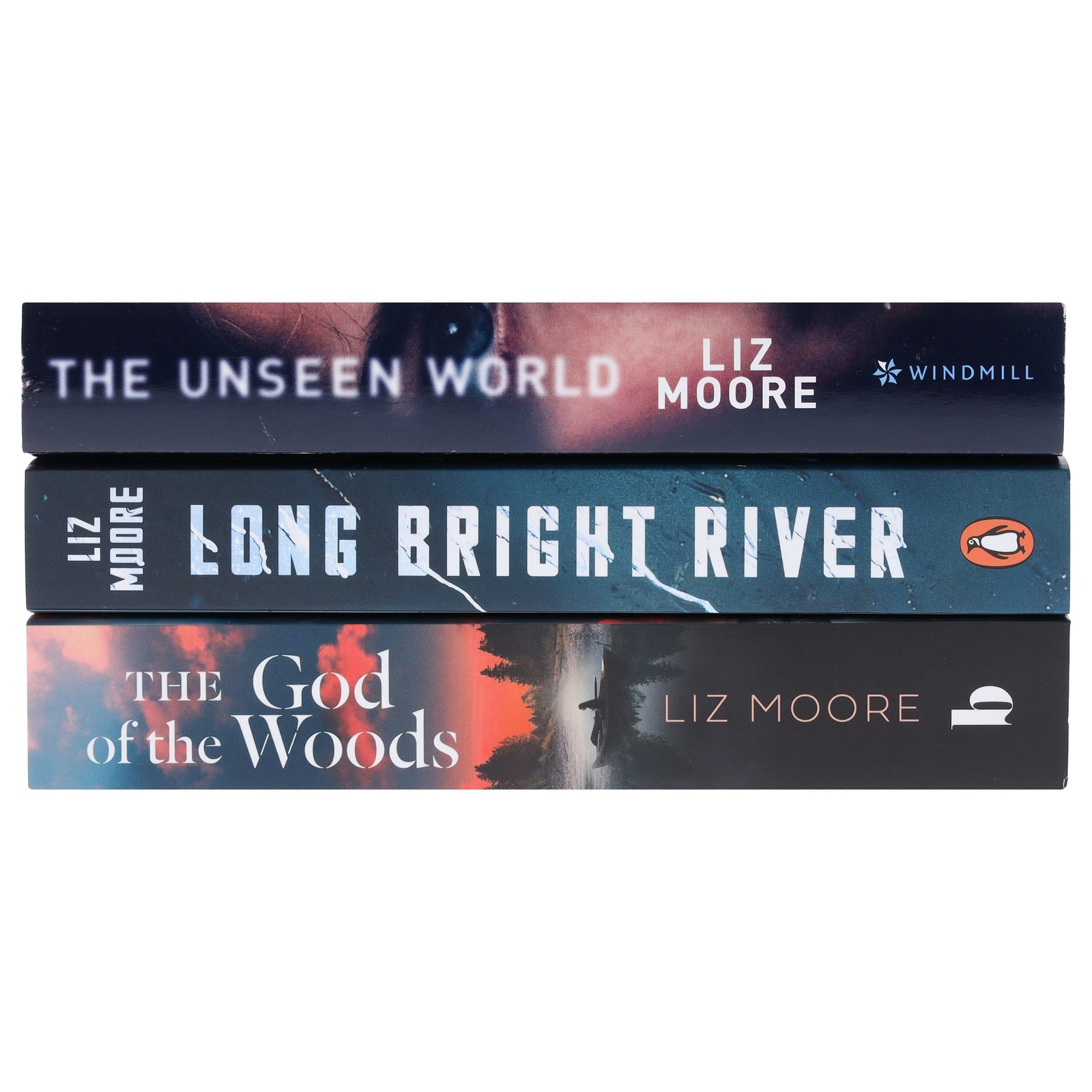 Liz Moore Collection 3 Books Set – Fiction – Paperback