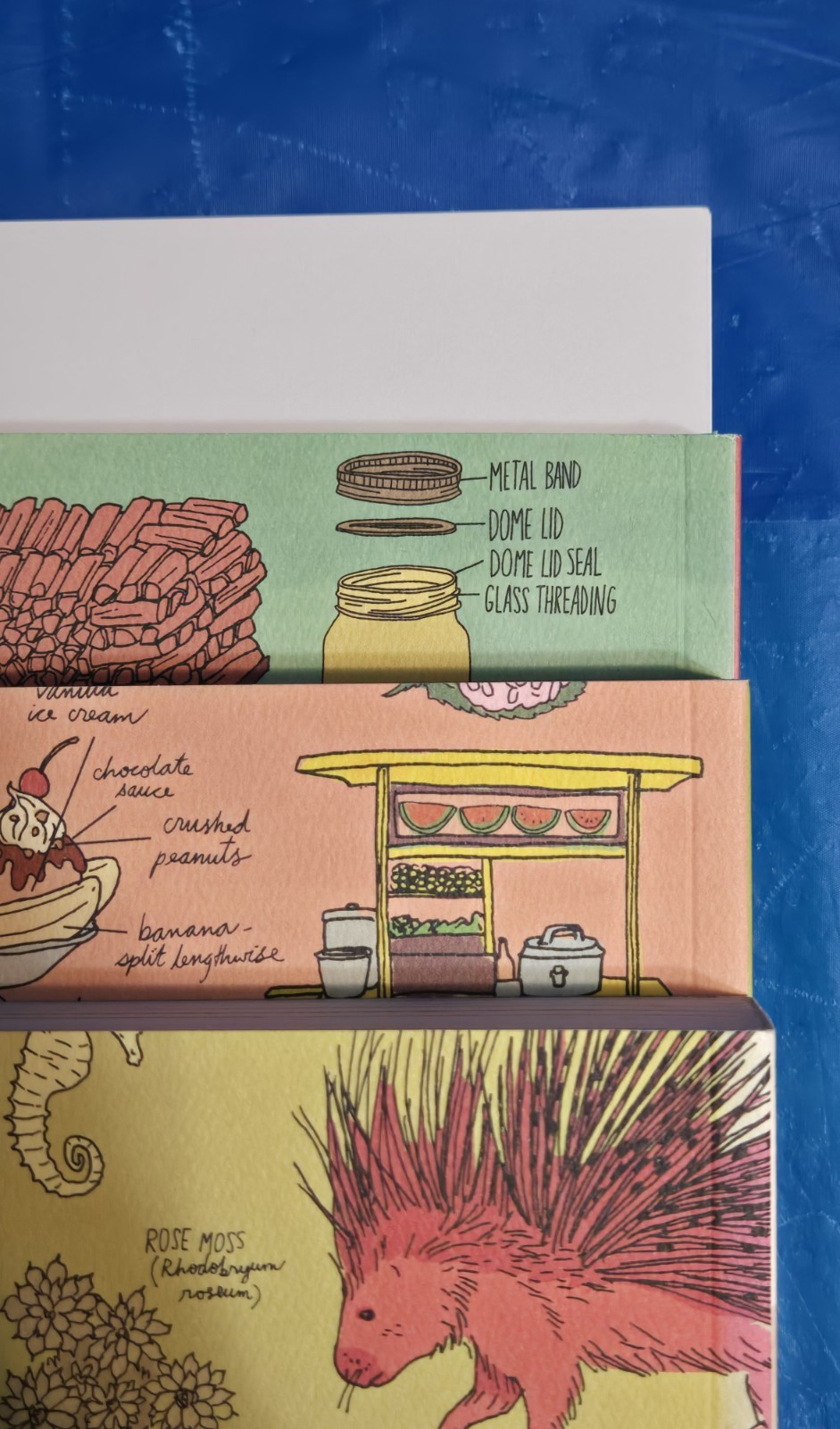 The Julia Rothman Collection: Farm Anatomy, Nature Anatomy, and Food Anatomy VG