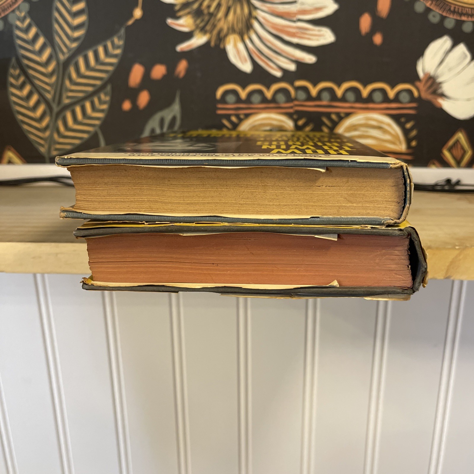 Dale Carnegie Vintage 2-Book Lot How To Win Friends Stop Worrying Hardcover DJ