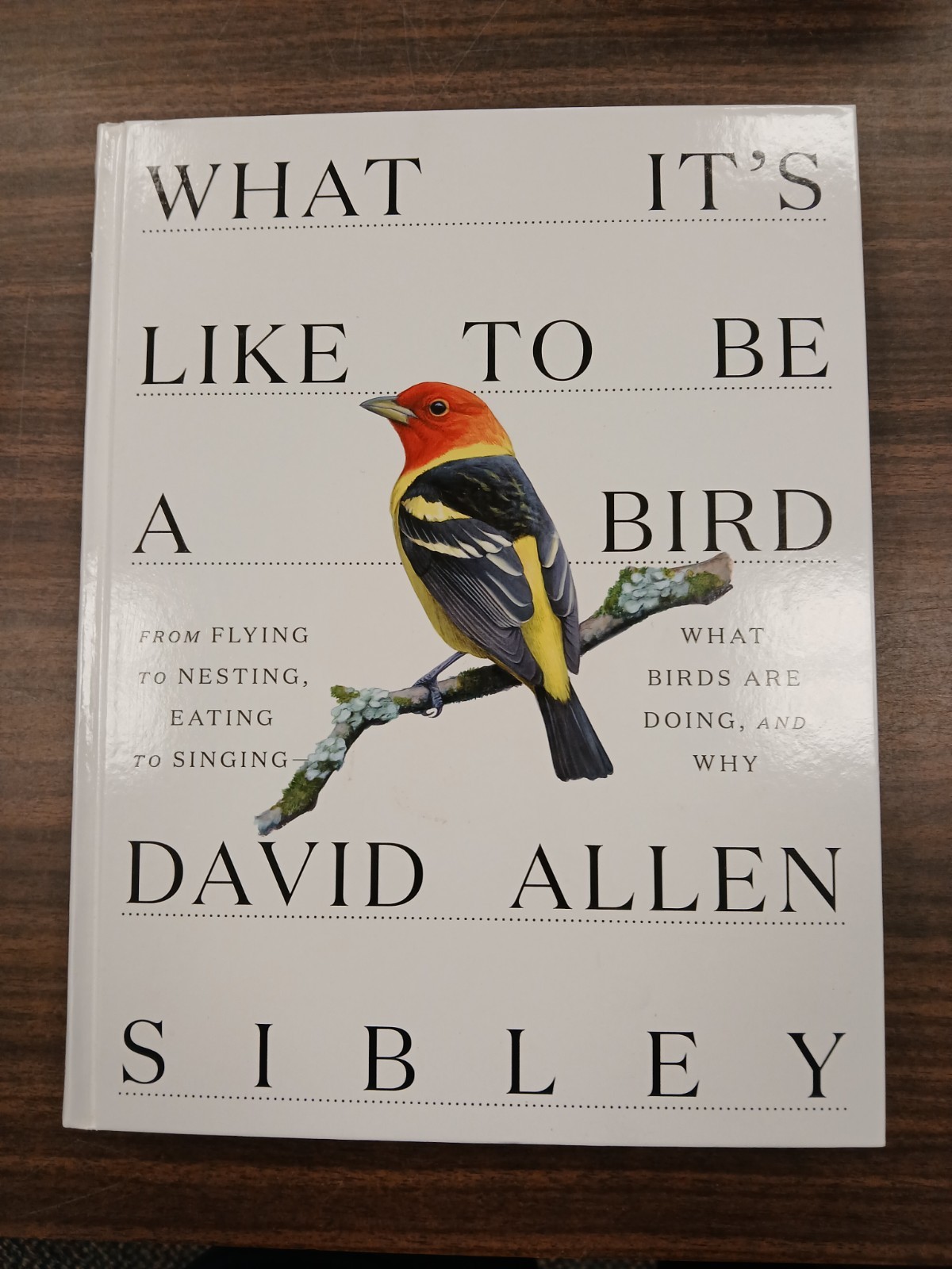 What It’s Like to Be a Bird : From Flying to Nesting, Eating to Singing; Sibley