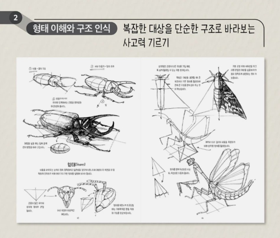 The Dynamic Bible by Peter Han Authentic Drawing Book Korean
