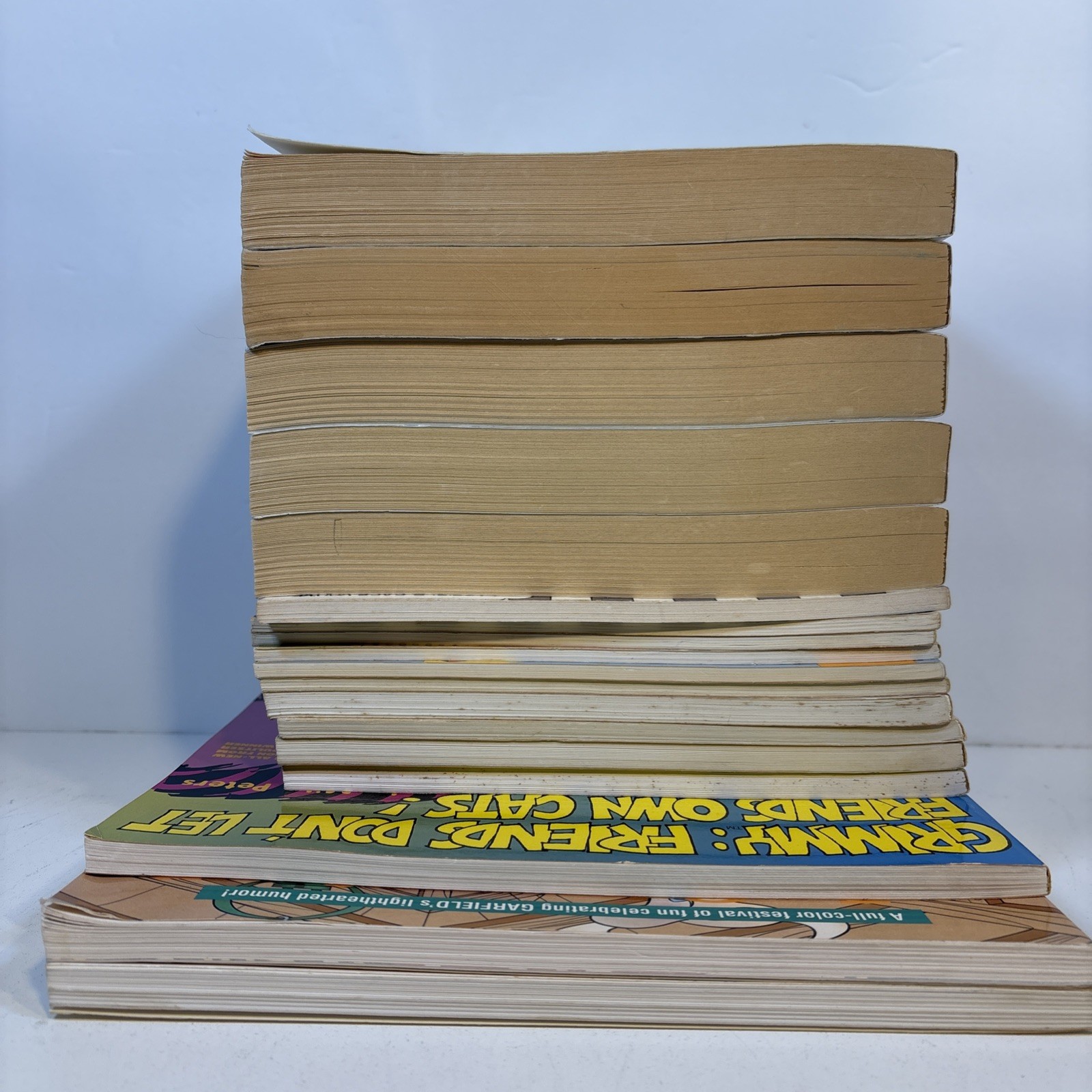 Vintage Garfield Fat Cat 3 Pack Book Lot 18 Jim Davis 1980s 1990’s early 2000s