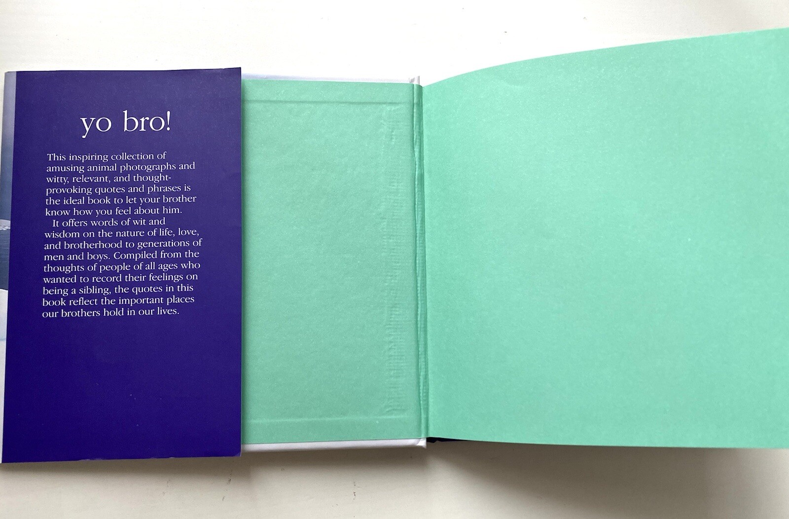 Book” Yo Bro!: My Brother, My Friend” by Tom Burns size 6.5×6.5in.