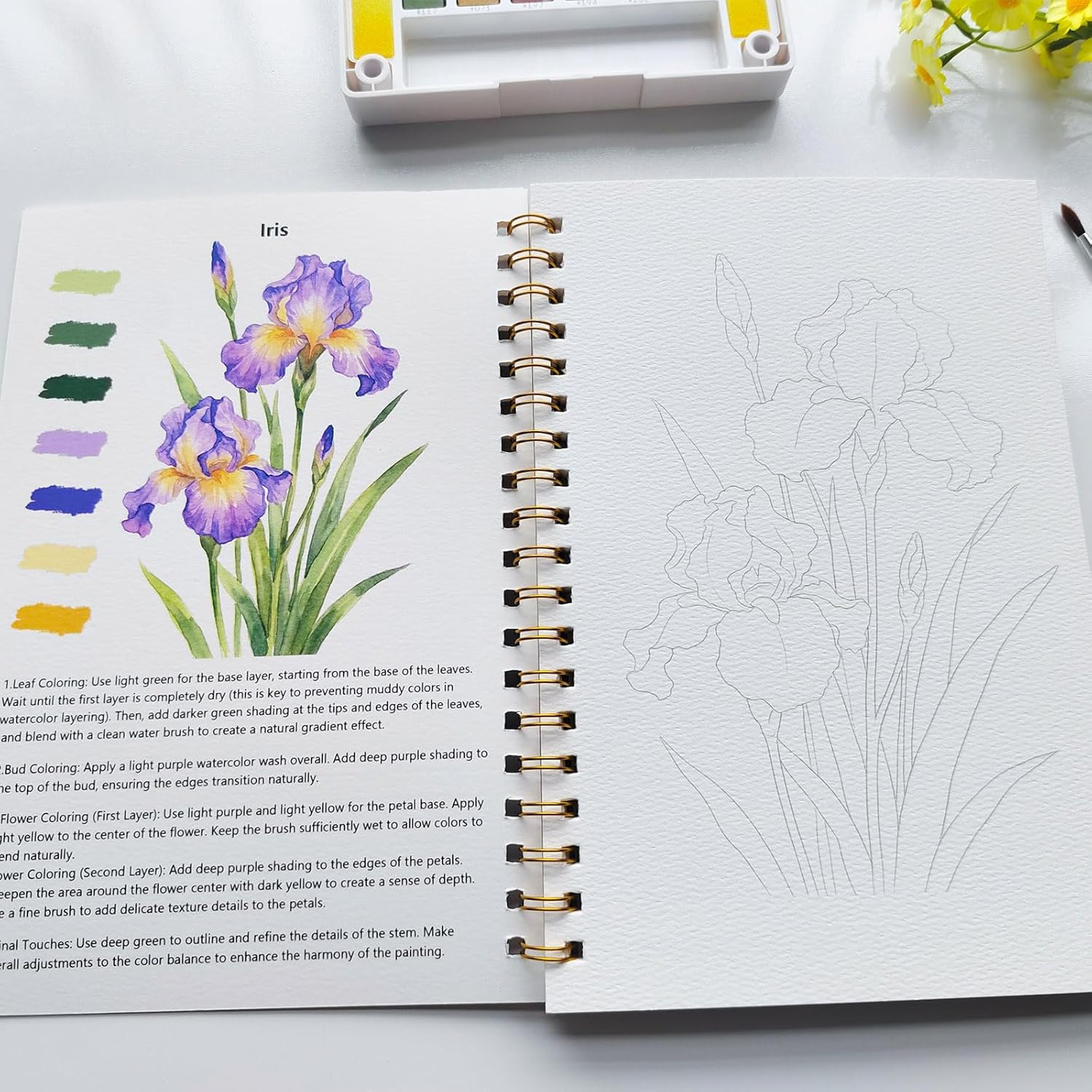 Watercolor Workbook, Water Coloring Book for Adult &Teens Beginners,15 Beautiful