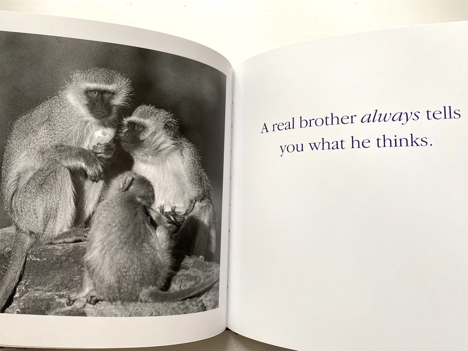 Book” Yo Bro!: My Brother, My Friend” by Tom Burns size 6.5×6.5in.