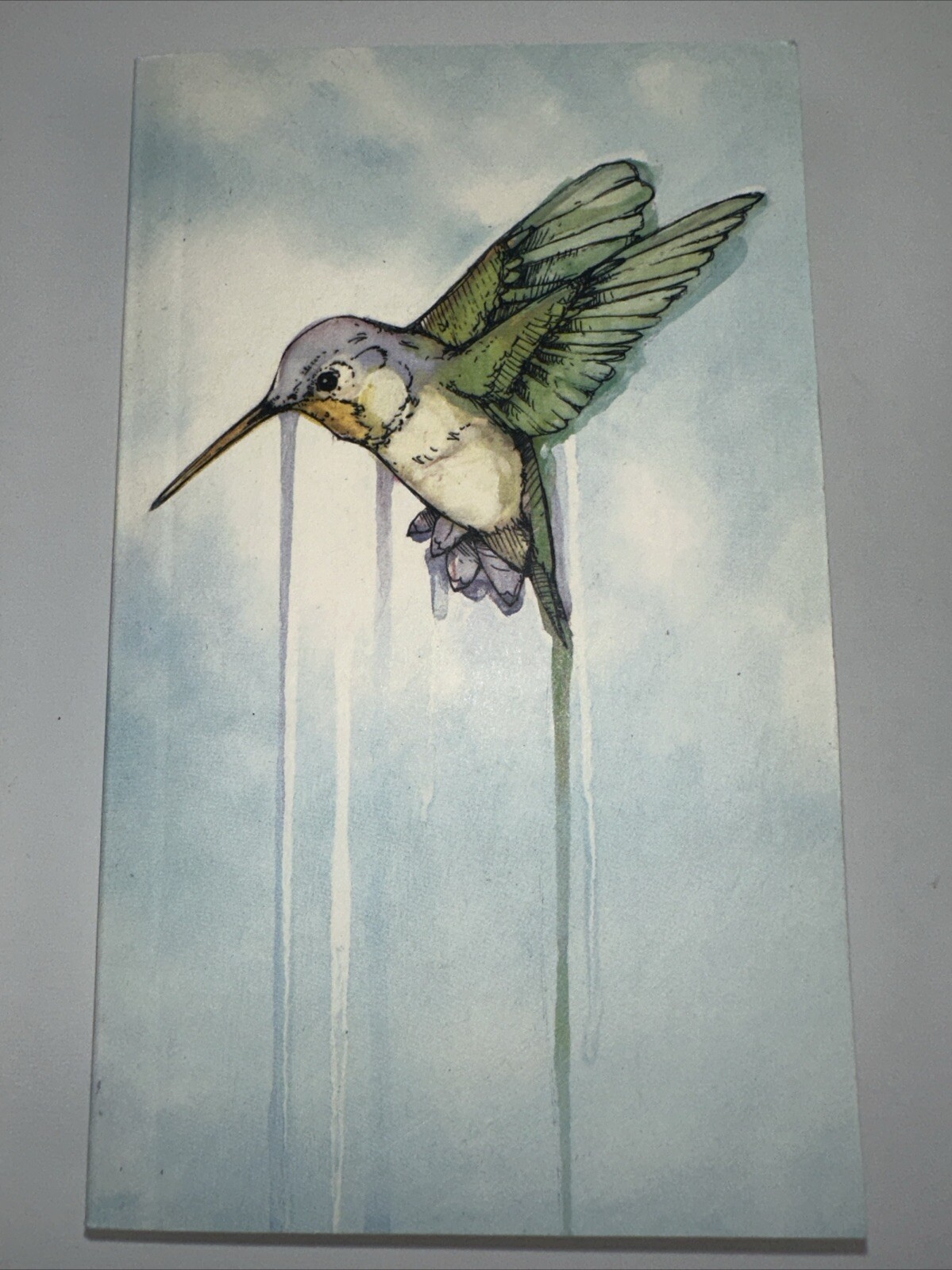 Hummingbird: Essays [Genuine Rare Bird Book] by Angelini, Jude paperback Book