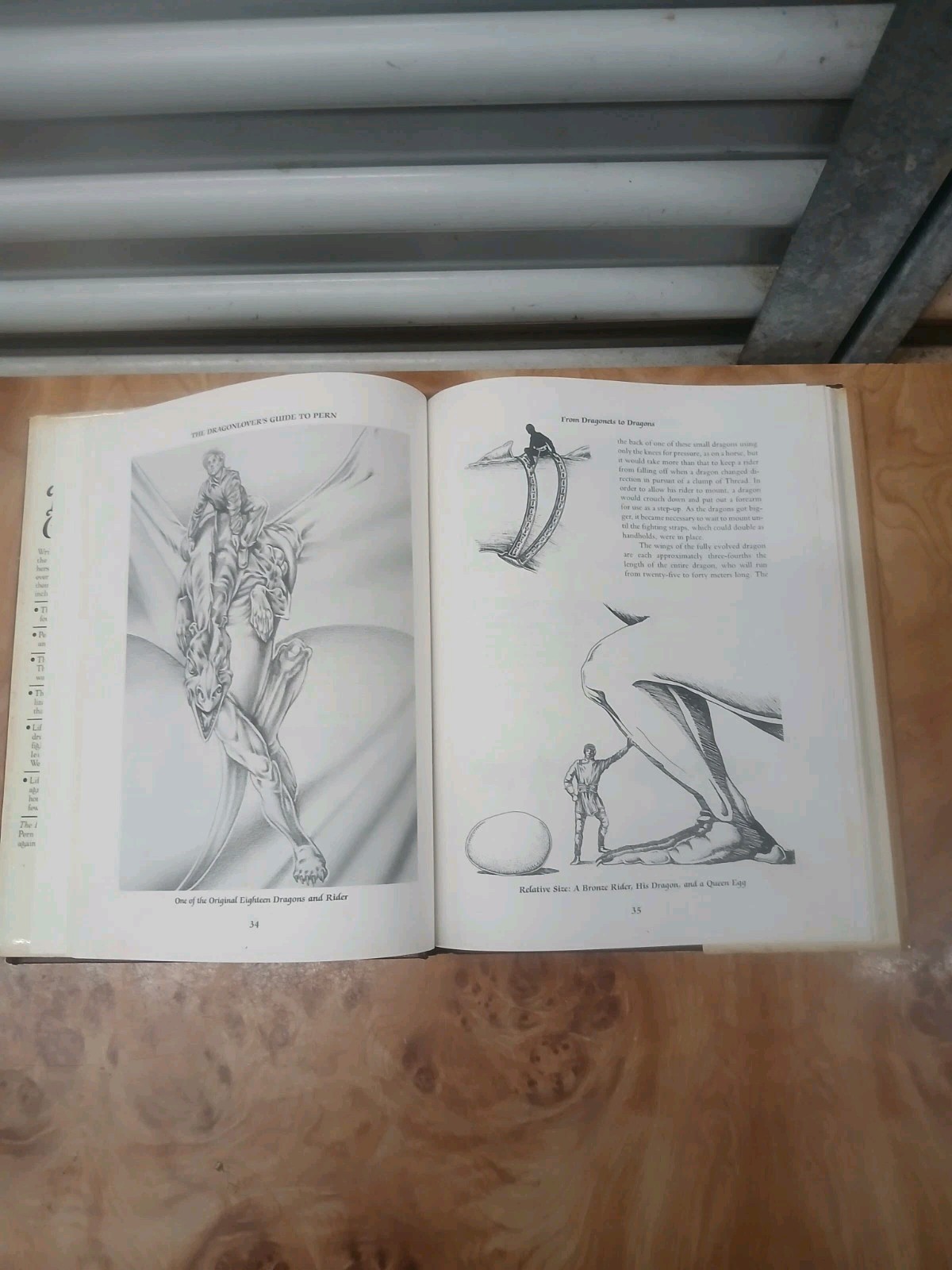 The Dragonlover’s Guide to Pern by Jody L Nye w/ Anne McCaffrey (1989, HARDCOVER