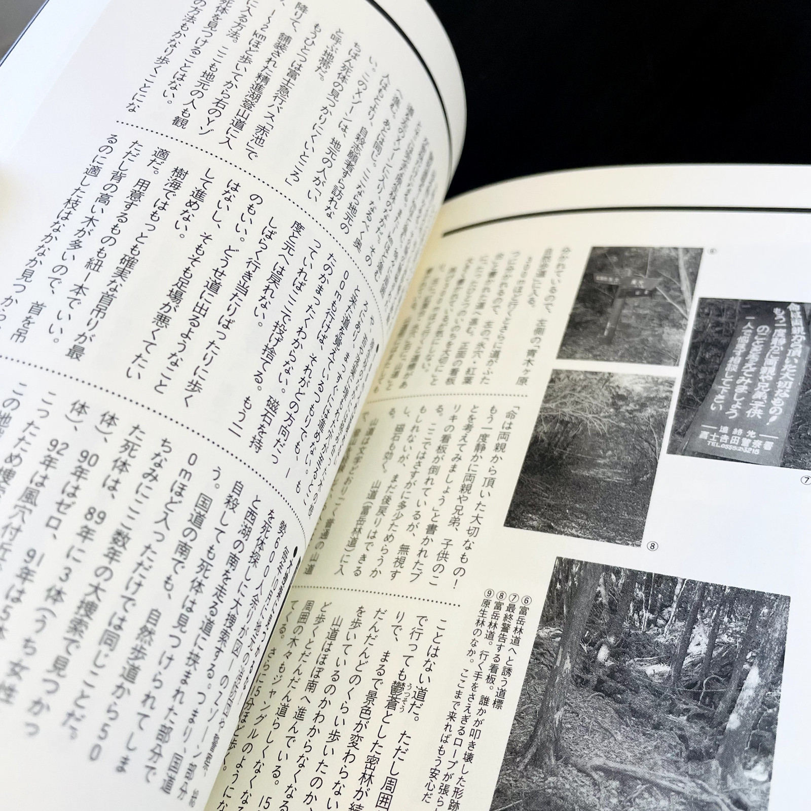 The Complete Manual Of Suicide Japanese Practical Book Kanzen Jisatsu Manual