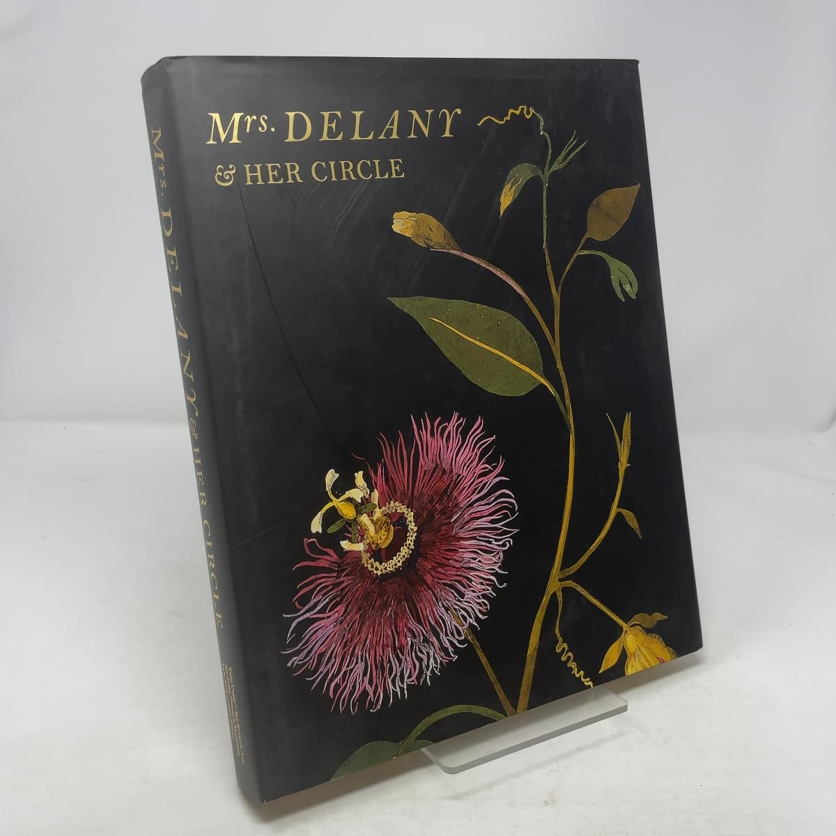 Mrs. Delany and Her Circle