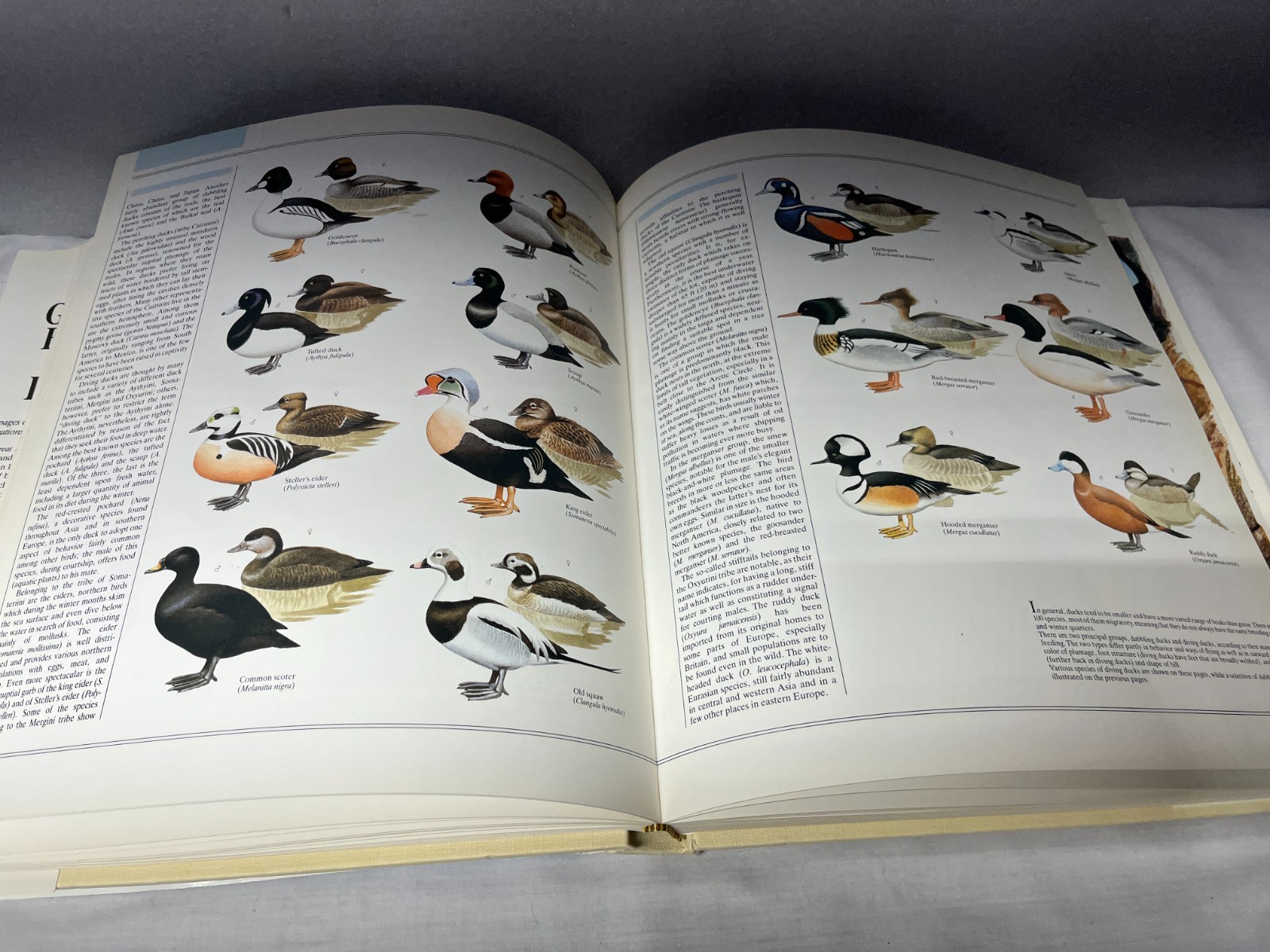 The Great Book Of Birds – 280 pages, 1,000 full color illustrations Ornithology