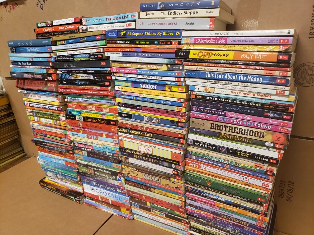 Books by Genre 5 LBS (Pounds) Box Value Lot Sorted Hardback / Paperback MIX SET