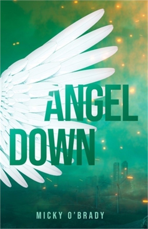 Angel Down (Paperback or Softback)