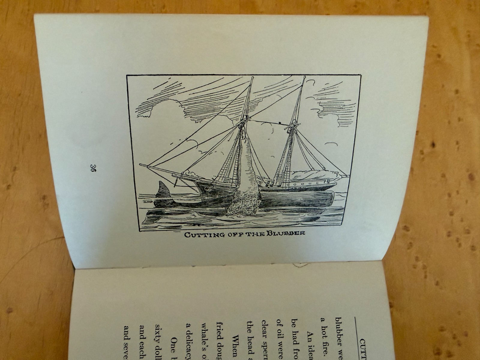 Six Whaling Adventures, Early 20th Century Books–All First Editions