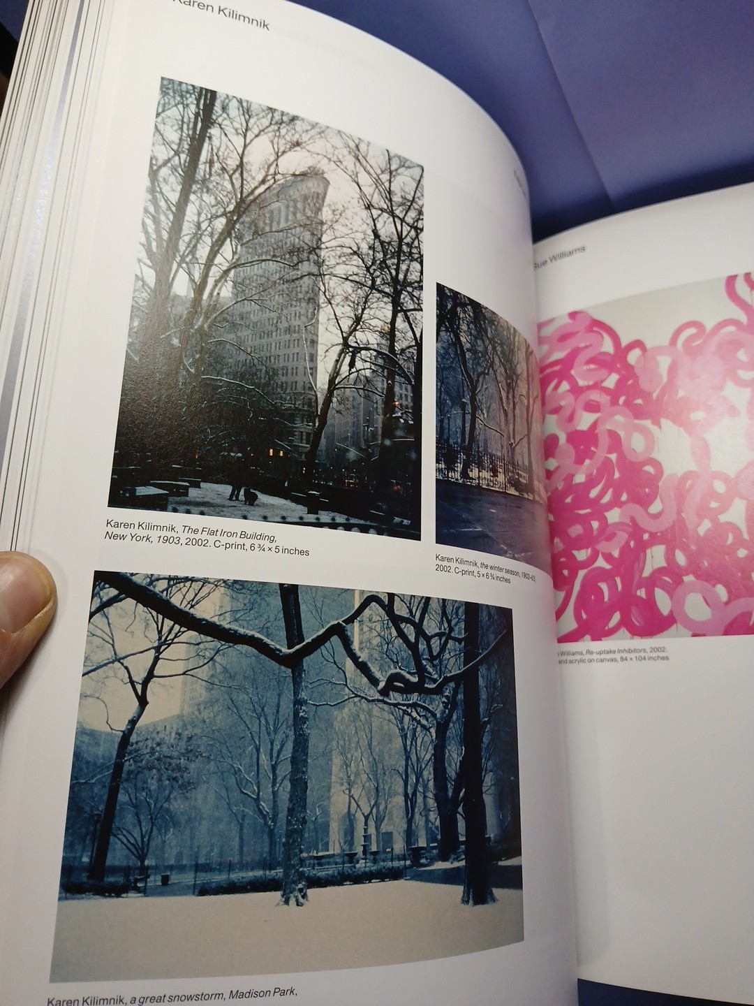 303 Gallery : 35 Years by N.Y. Staff 303 Gallery New York (Hardcover) ART BOOK