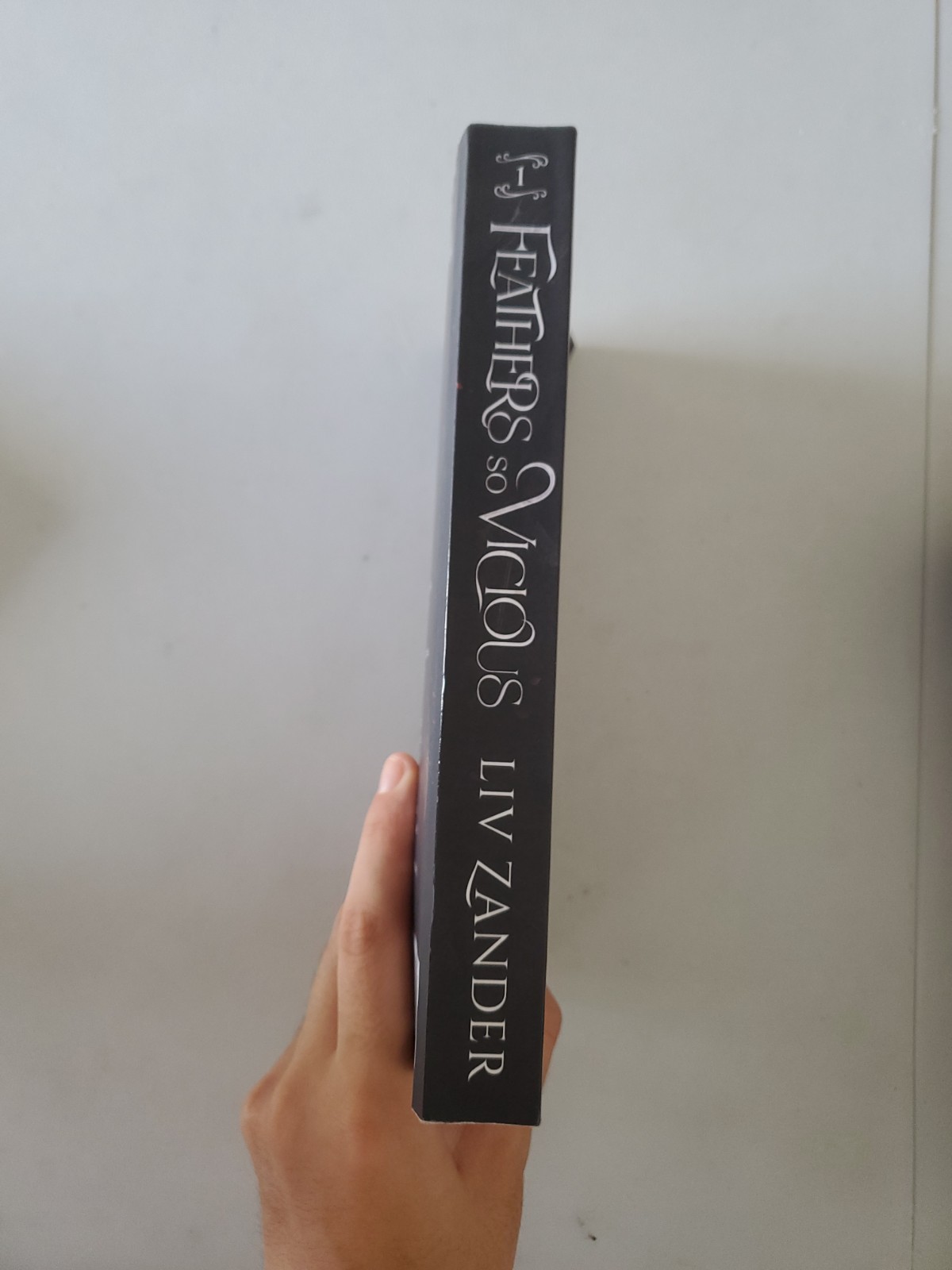Feathers so Vicious: A Dark Fantasy – Paperback, by Zander Liv