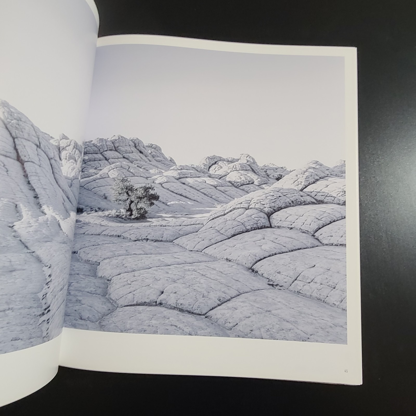 Tom Jacobi Into the Light Hirmer Hardback Coffee Table Book 2018