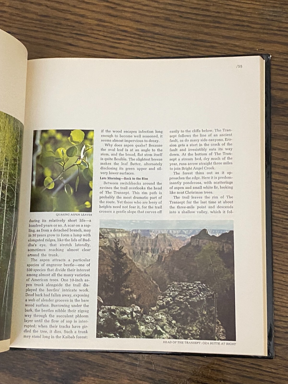 The Grand Canyon The American Wilderness 1973 Time-Life Hardcover 184 Pages