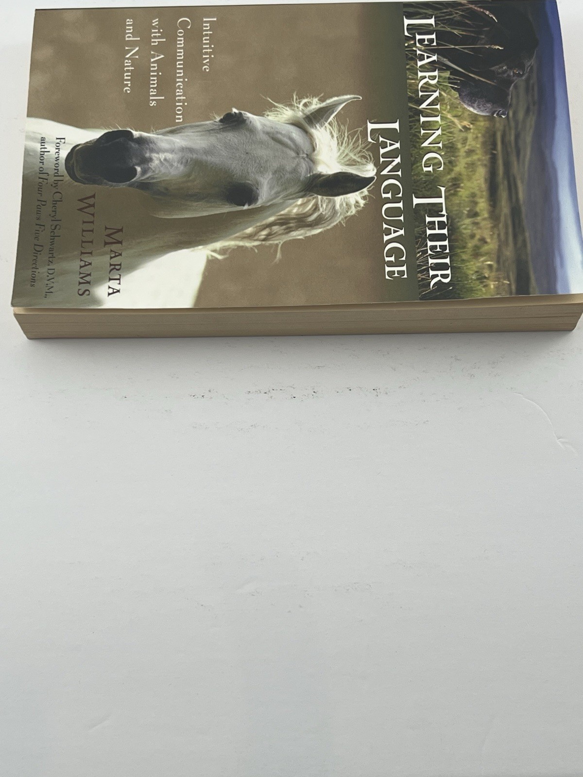 Learning Their Language Marta Williams SIGNED 2003 New World Library