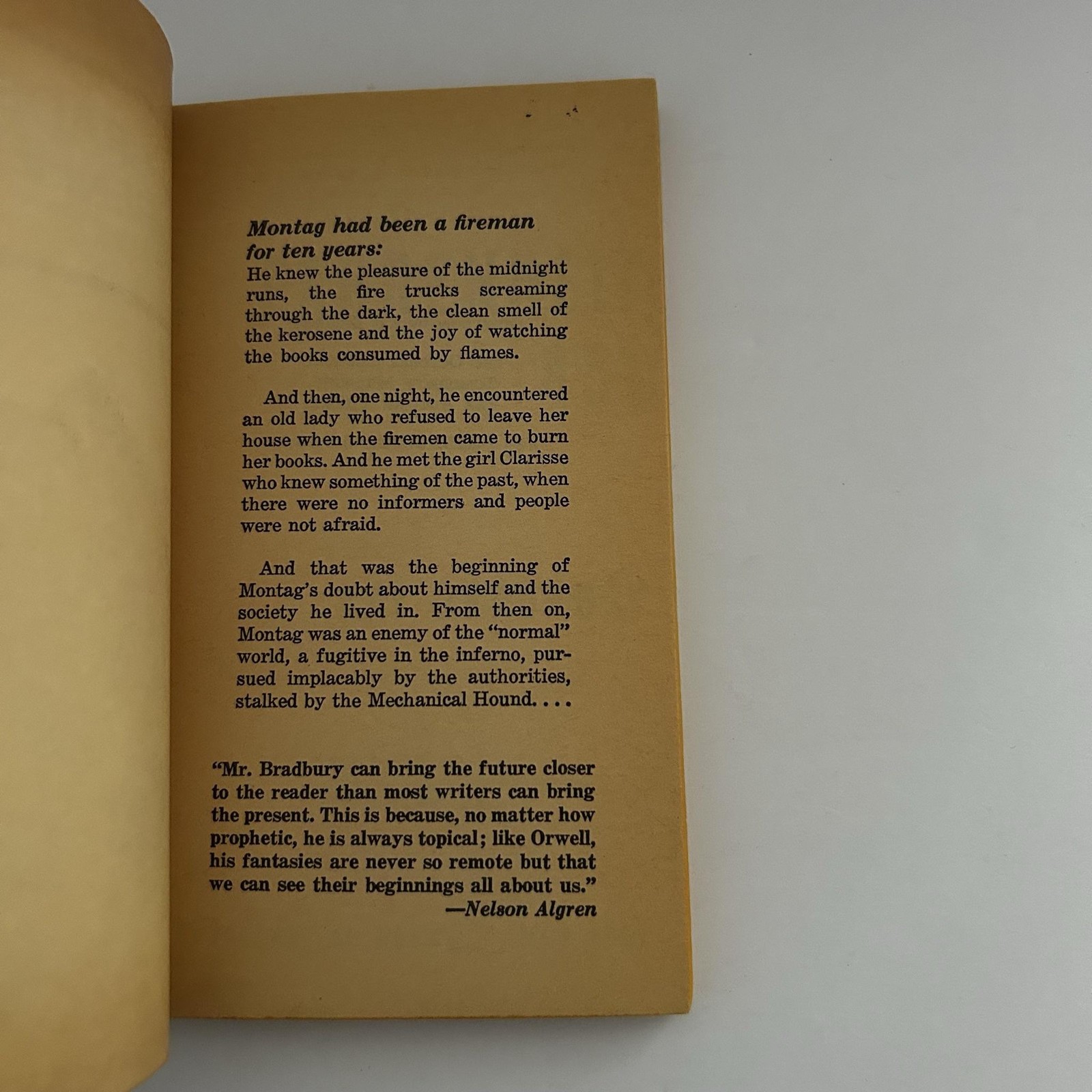 Vintage Fahrenheit 451 Ray Bradbury Ballantine Sci-Fi Dystopian PB USA