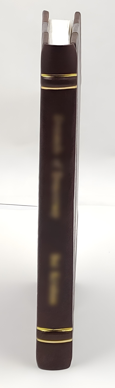 Family register of Gerret Van Sweringen and descendants 1906 b [Leather Crafted]