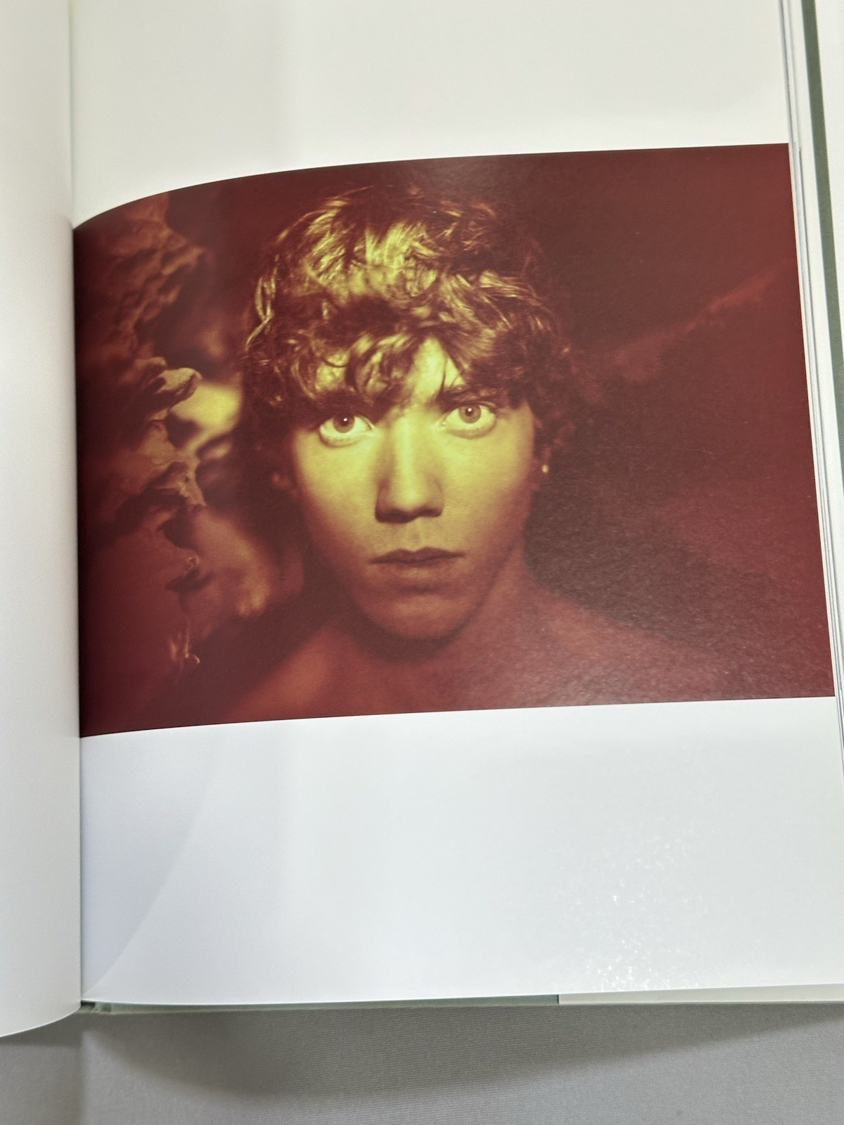 You & I Ryan Mc Ginley Hard Cover Dust Jacket