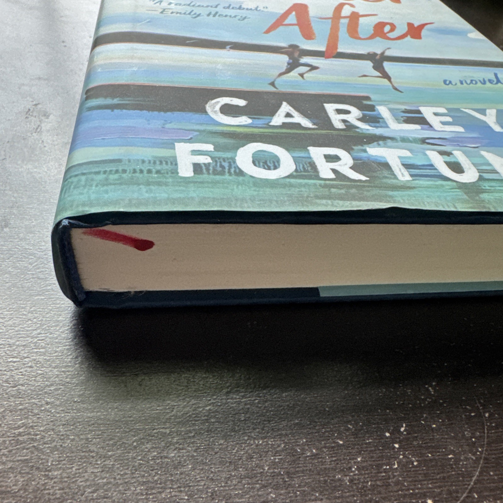 Every Summer After by Carley Fortune (2022, Hardcover)