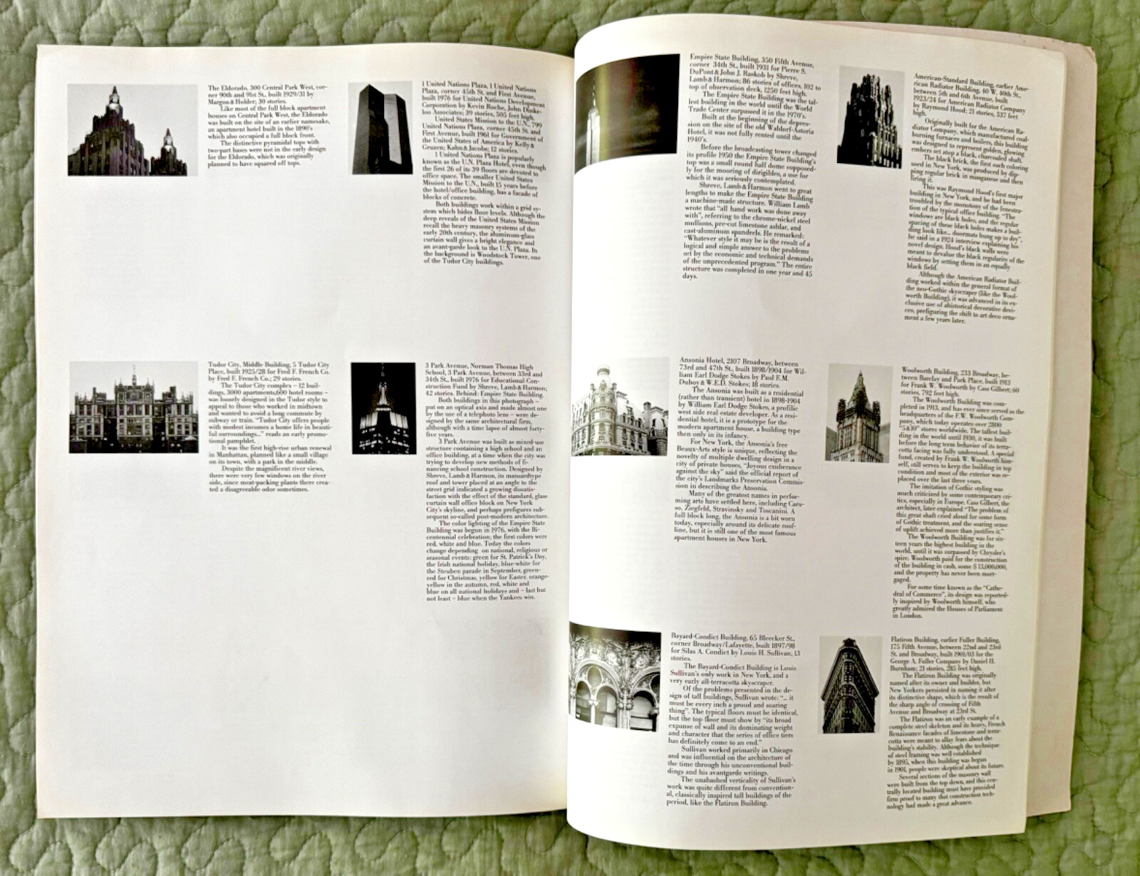 New York in Photographs by Reinhart Wolf 2002, trade paperback, 76 pages, NYC