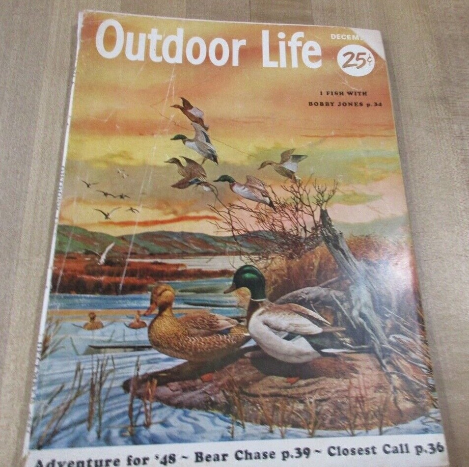 1954 December Outdoor Life Hunting & Fishing Magazine C Allen Cover Diorama (r)