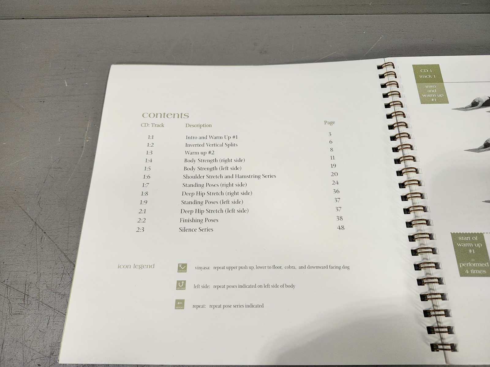 Bryan Kest’s Advanced Yoga 2 – 90 minute Workout Training Booklet w/ 2 Audio CD