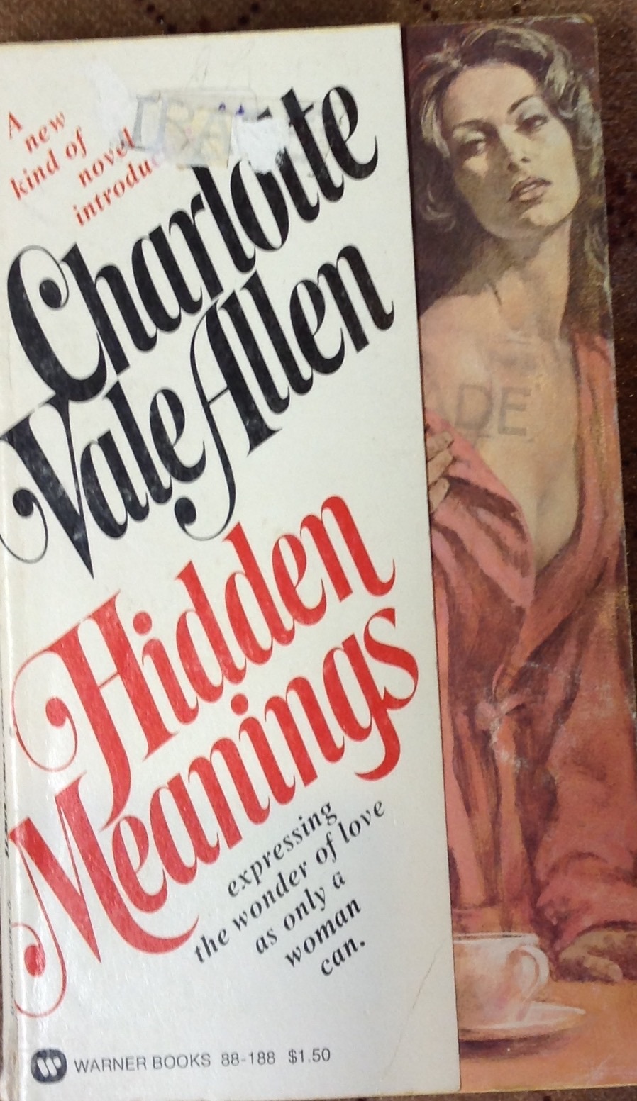 Hidden Meanings Charlotte Vale Allen Steamy Paperback Book 1976 Vintage Romance