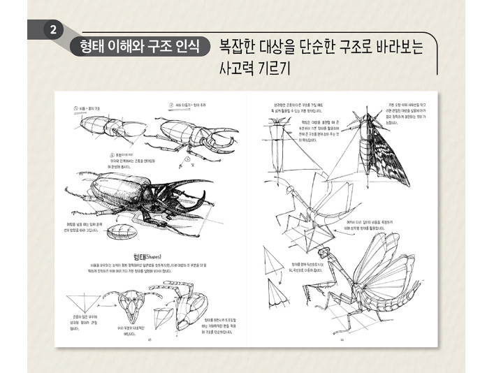 The Dynamic Bible by Peter Han Authentic Drawing Book Korean
