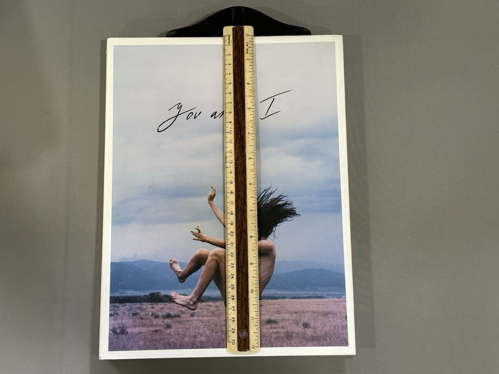 You & I Ryan Mc Ginley Hard Cover Dust Jacket