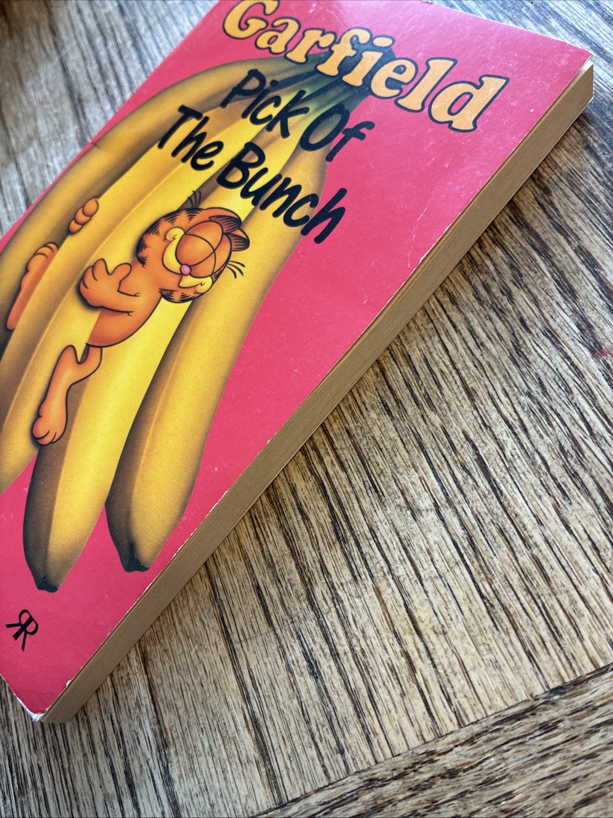 Garfield – Pick of the Bunch (Garfield Pocket Books) By Jim Davi