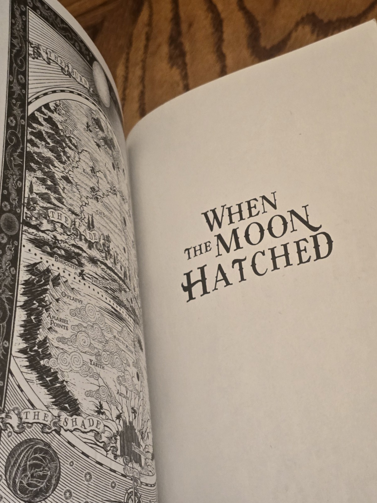 When The Moon Hatched By Sarah A Parker~2024~Fantasy World Romance~Paperback~VGC