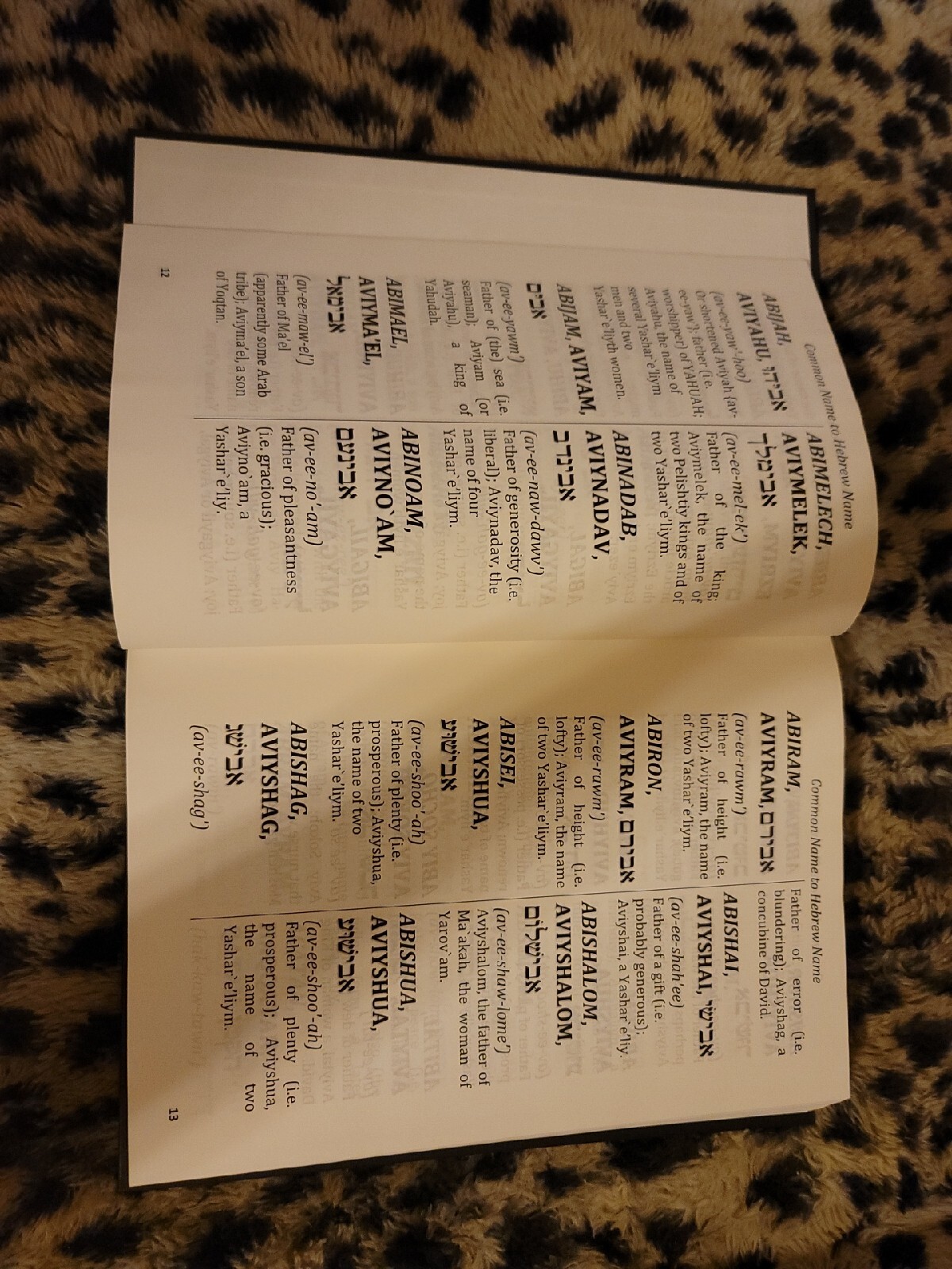 Cepher Lexicon – Names and Places Second Edition Hardcover