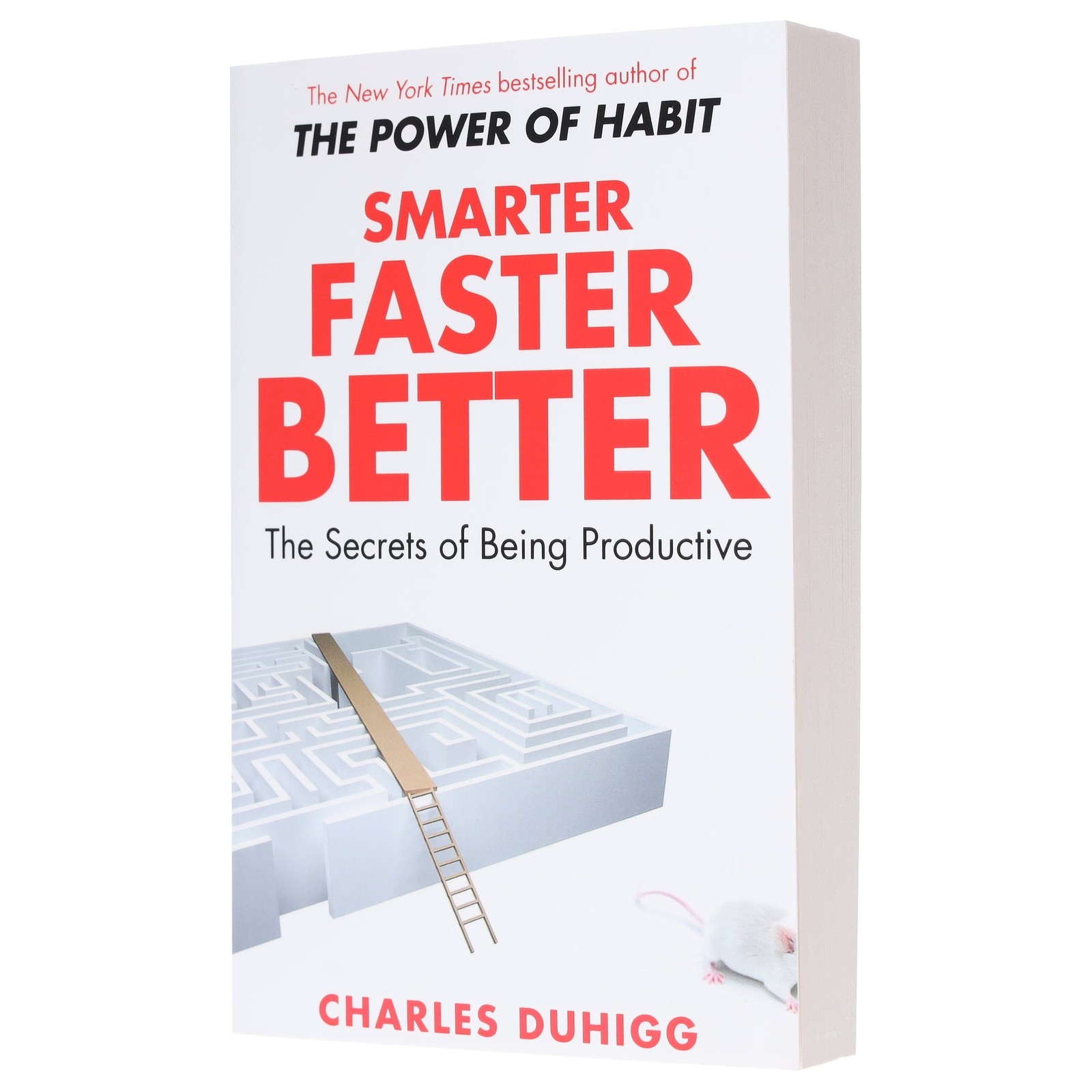 Smarter Faster Better: The Secrets of Being Productive: By Charles Duhigg – PB