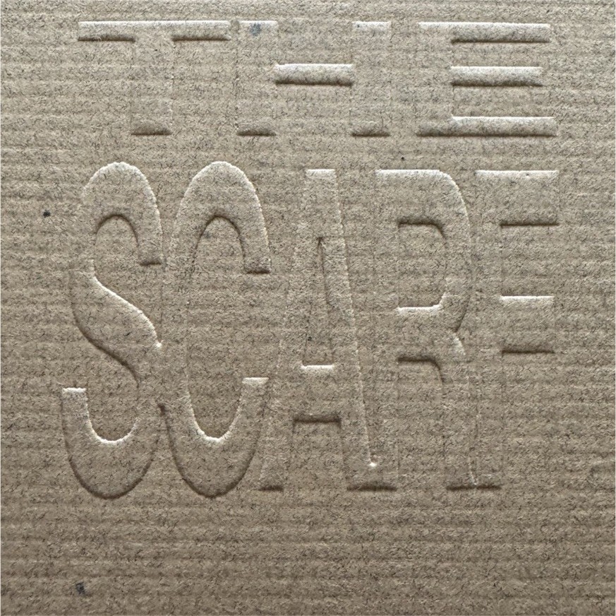 The Scarf Paperback Picture Book Scarves Fashion Illustrated 6×8 Inches English