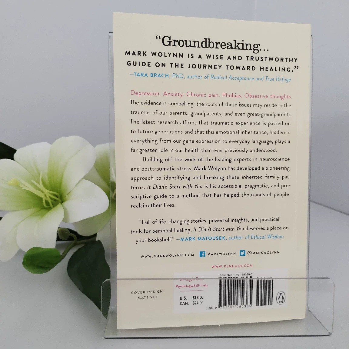 It Didn’t Start With You Mark Wolynn Family Trauma Healing English Book