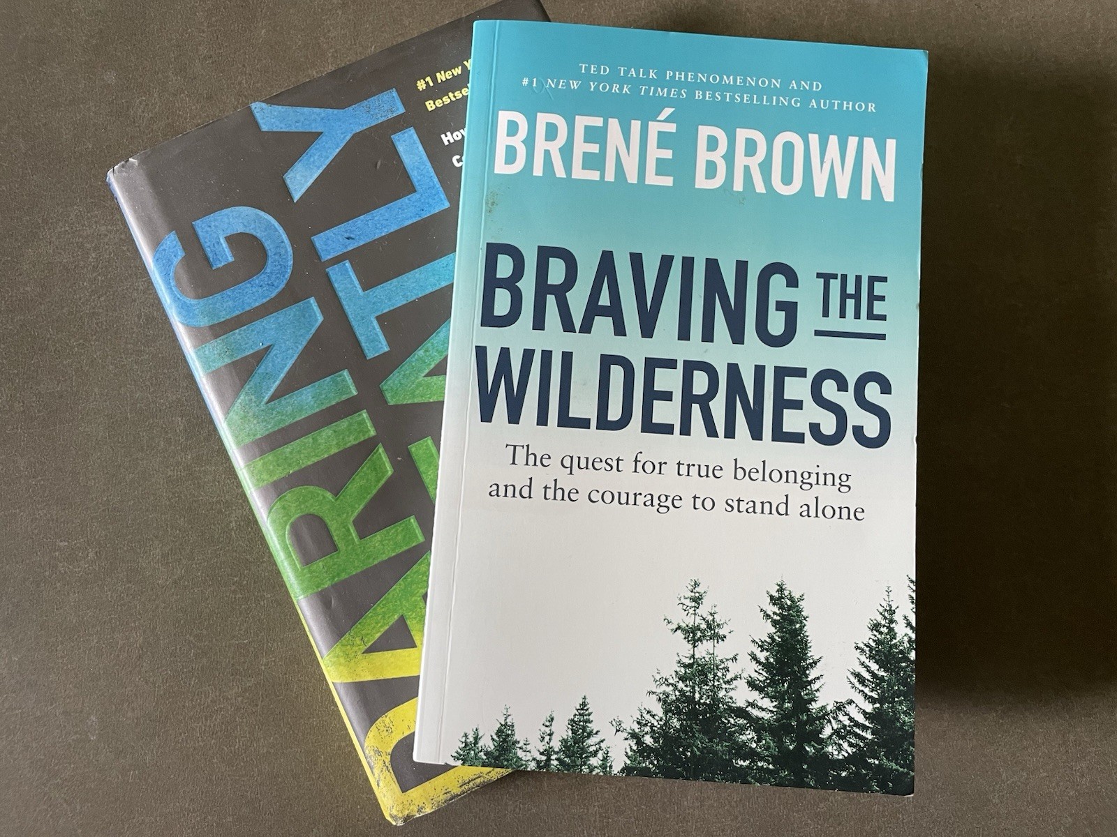 Lot of 2 Brene Brown PHD Daring Greatly & Braving the Wilderness