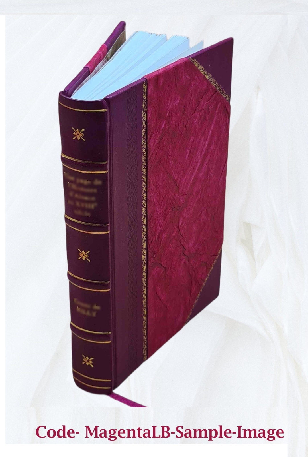 La Conqu?Te Du Cameroun 1Er Ao?T 1914 – 20 Fevrier 1916 1933 [Leather Bound]