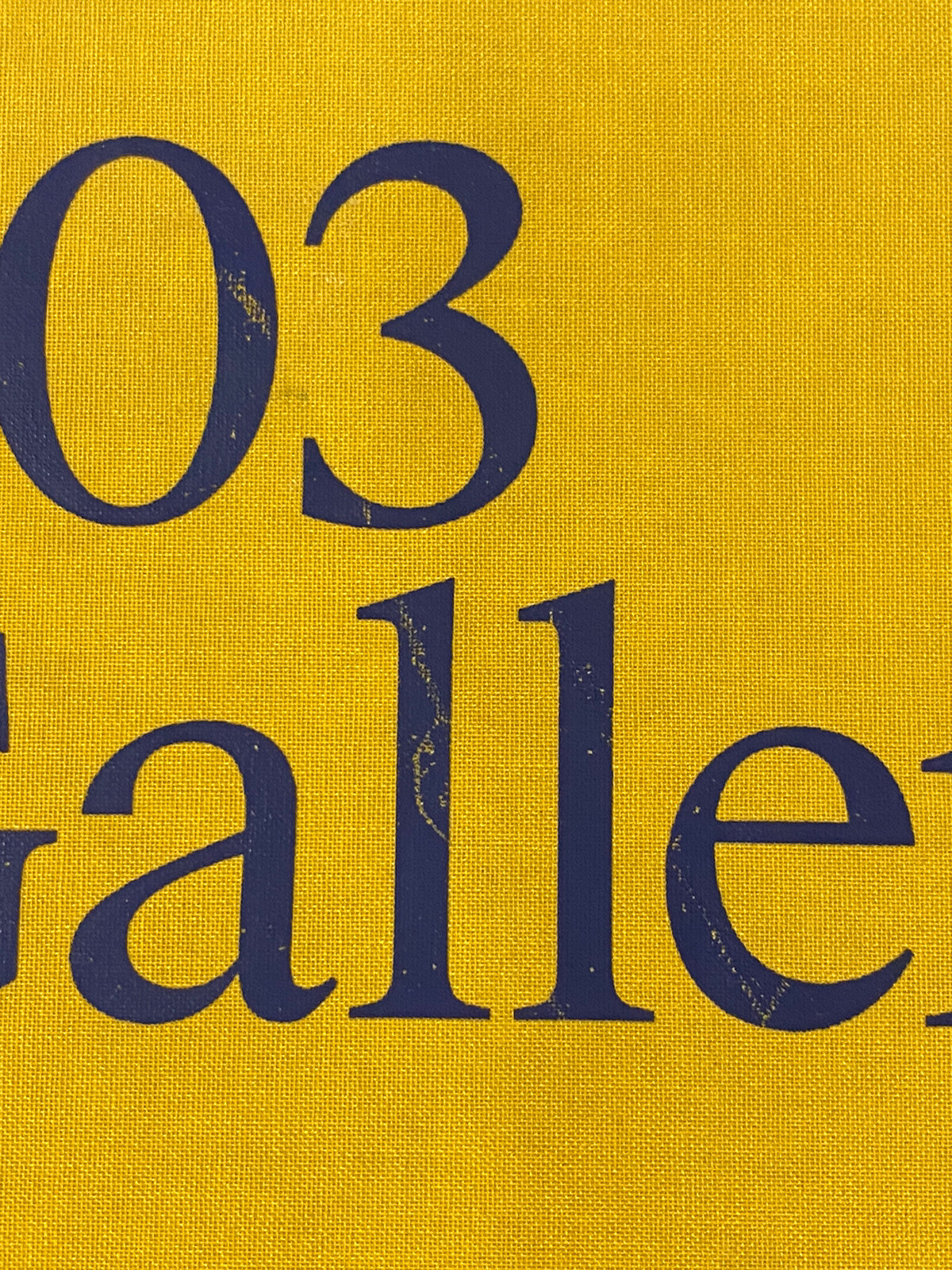 303 Gallery : 35 Years by N.Y.) Staff 303 Gallery (New York (Hardcover)