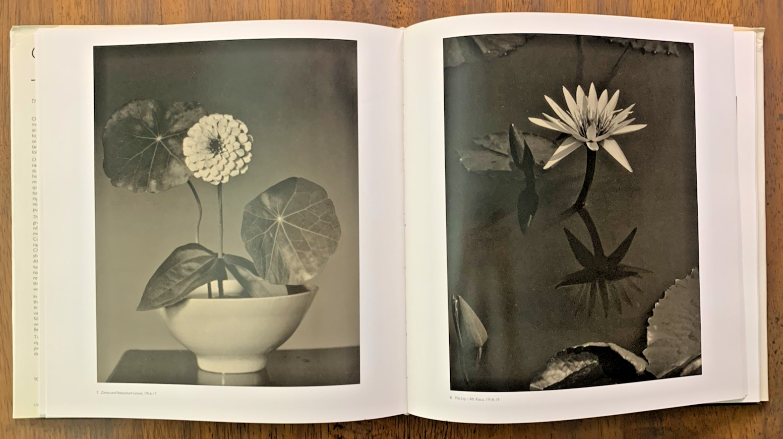 Charles Sheeler: The Photographs by Theodore E. Stebbins HC/DJ FIRST EDITION