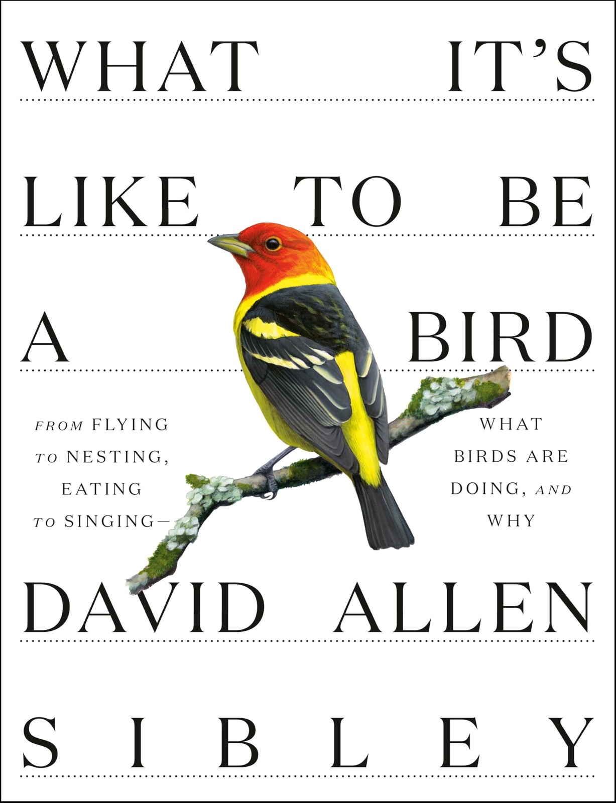 What It’s Like to Be a Bird: From Flying to Nesting… – David Allen Sibley