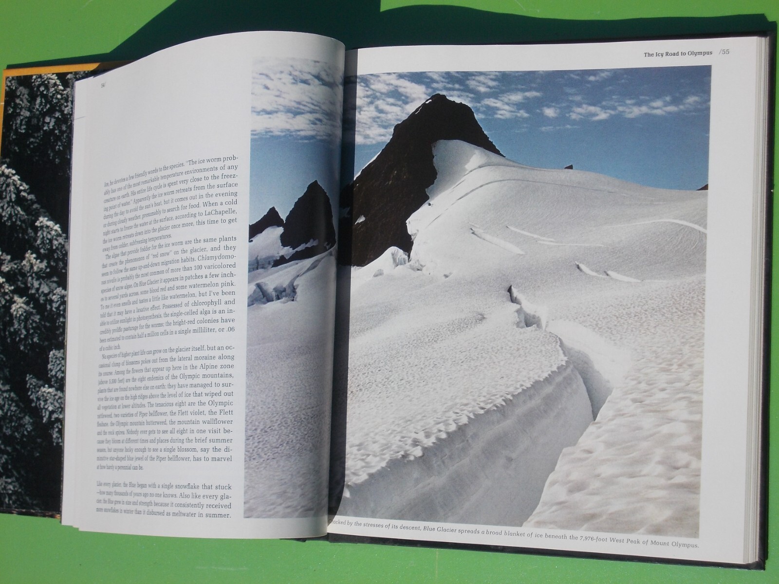 THE NORTHWEST COAST TIME-LIFE THE AMERICAN WILDERNESS (1973 HARDCOVER 184 PAGES)