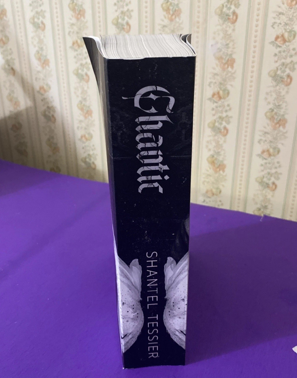 CHAOTIC: A Dark Romance by Shantel Tessier (2026, Paperback)