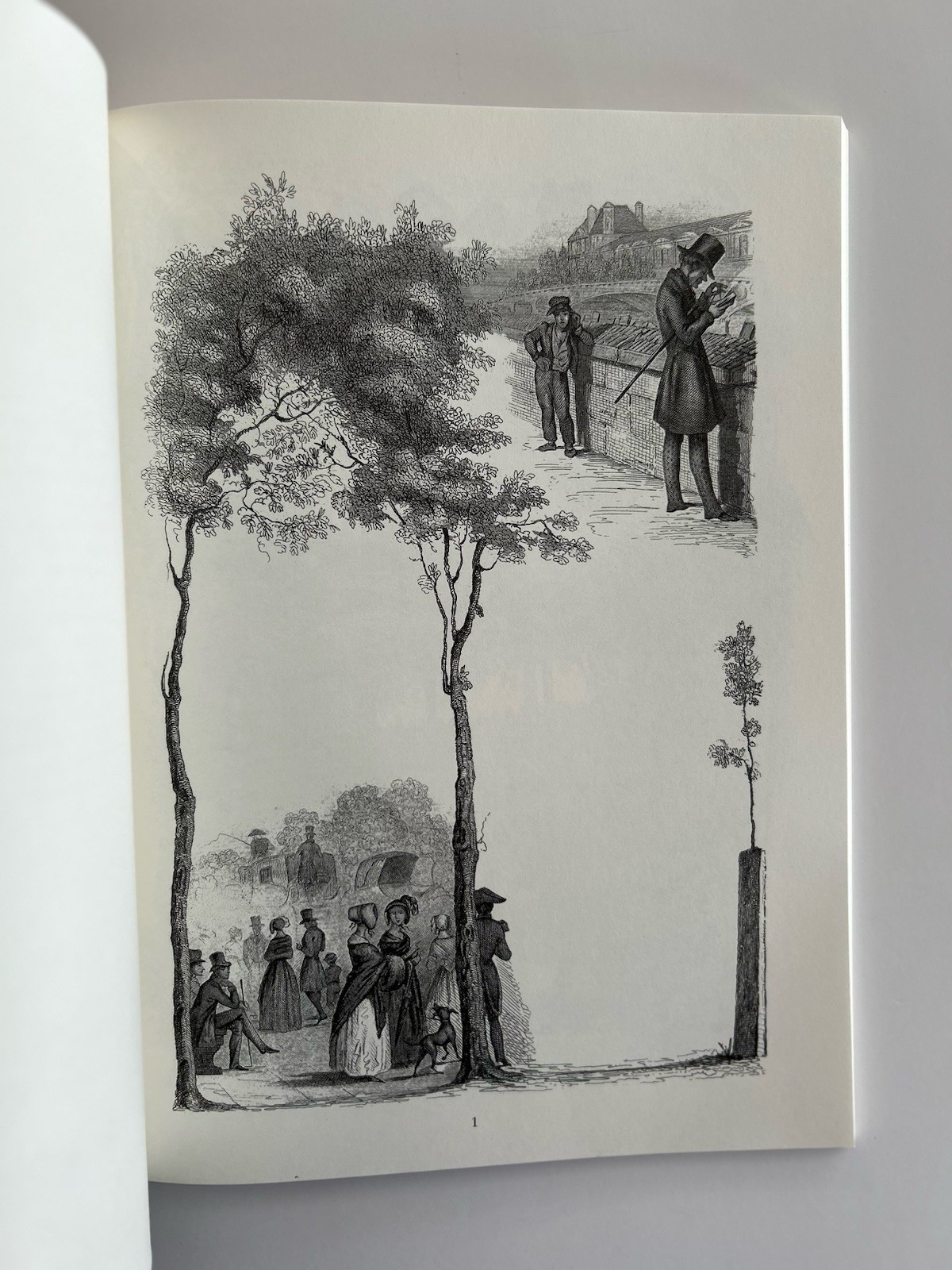 Old-Fashioned Pictorial Borders by Charles-François Daubigny (2001, Paperback)