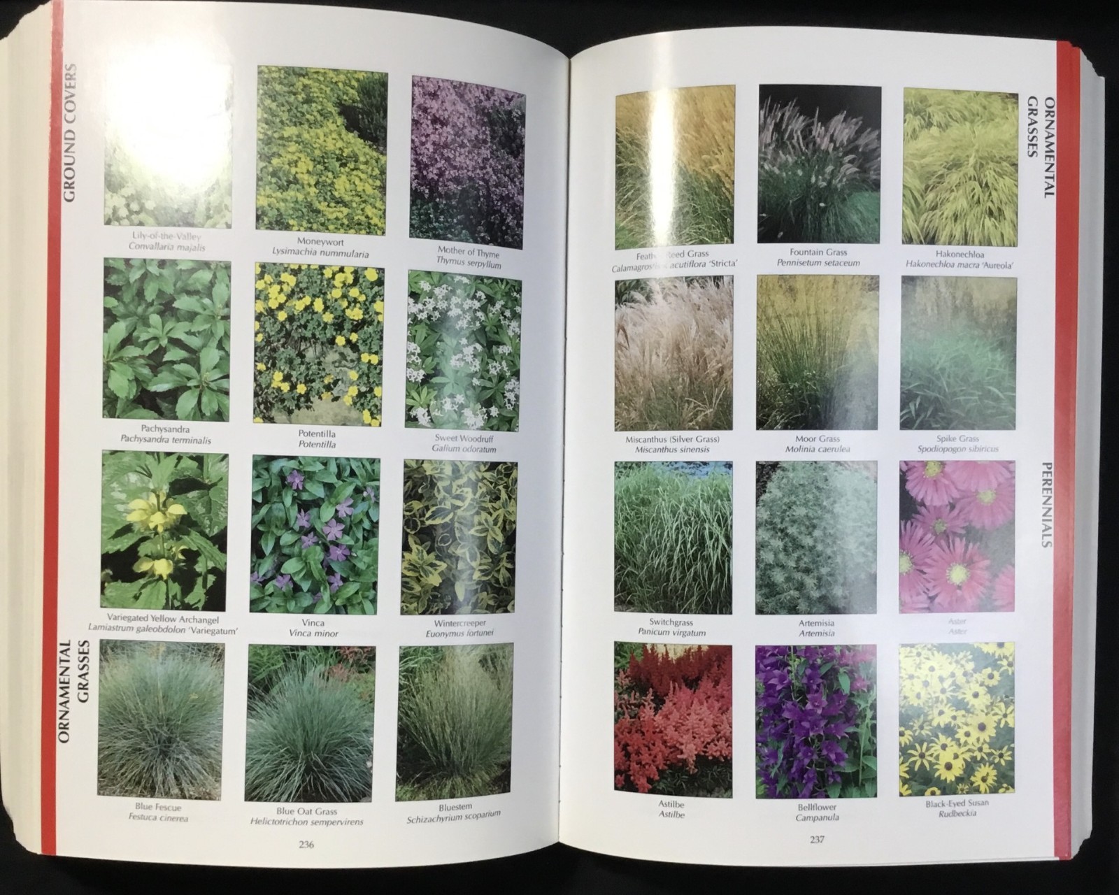 Book, MN Gardener’s Guide, Paperback, M. Myers, Cool Springs Press, 2001