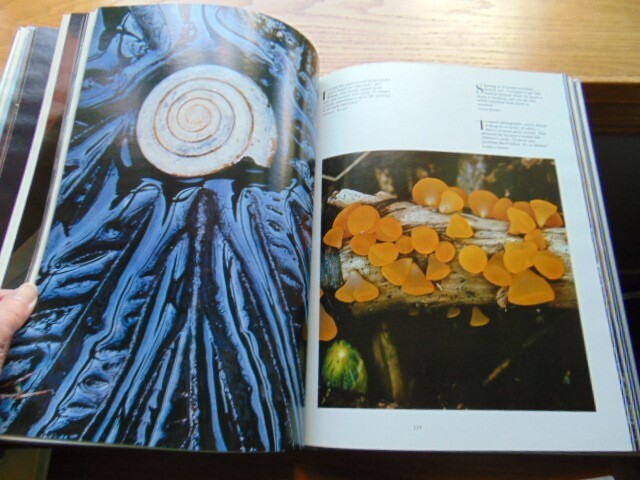 1981 Images of the World- HB- Nat. Geographic- 396 pages
