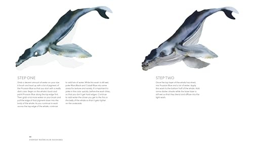 Everyday Watercolor Seashores: A Modern Guide to Painting Shells, Creatures, and