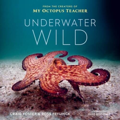 Underwater Wild: My Octopus Teachers Extraordinary World – Hardcover – GOOD